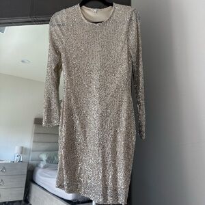 Elegant Silver Sequin Dress